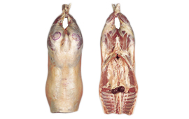 Lamb Half-Carcass With Hinds And Kidneys